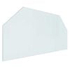 vidaXL Pejs glasplade Transparent 100 x 50 cm Glas