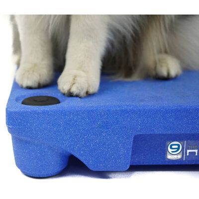 BLUE-9 skridsikre fødder til KLIMB hundetræningssystem 4 stk.
