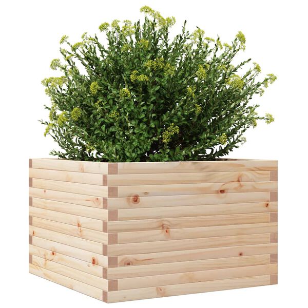 vidaXL plantekasse 70x70x46 cm massivt fyrretr&aelig;