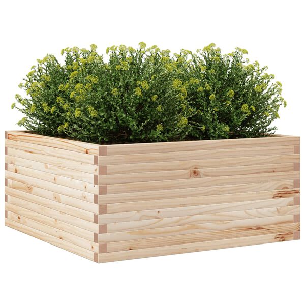 vidaXL plantekasse 100x100x46 cm massivt fyrretr&aelig;