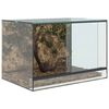 vidaXL Terrarium med opbevaring Transparent 60 x 40 x 40 cm Glas