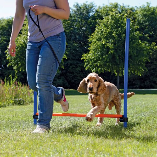 TRIXIE agility hurdle 123x115 cm plastik 3207
