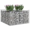 vidaXL Gabion h&oslash;jbed S&oslash;lv 100 x 100 x 60 cm Galvaniseret st&aring;l