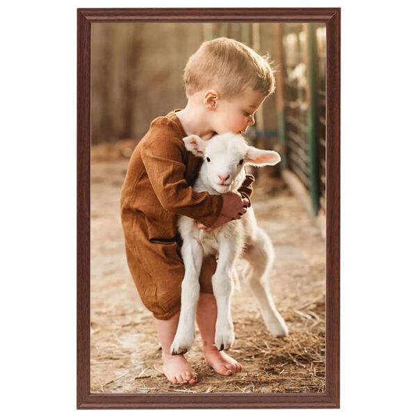 vidaXL billedrammer 5 stk. til bord 21x29,7 cm MDF brun