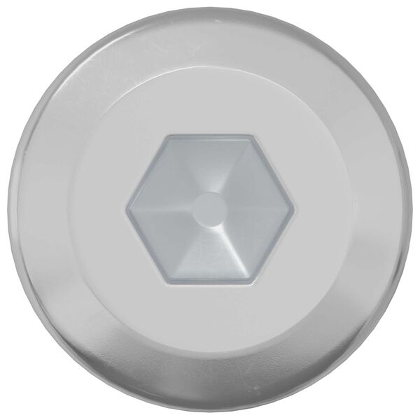 vidaXL L&aring;seskrue Ensfarvet 2 pcs S&oslash;lv M6 x 12 mm St&aring;l