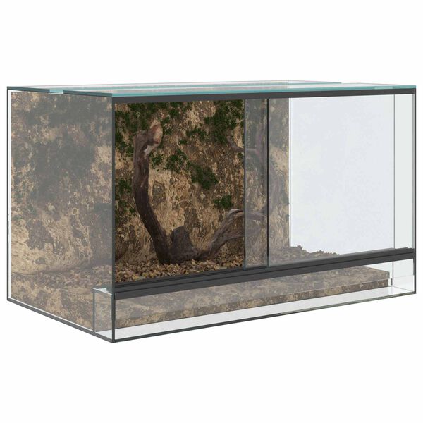 vidaXL Terrarium med opbevaring Transparent 50 x 30 x 30 cm Glas