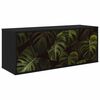 Black_oak