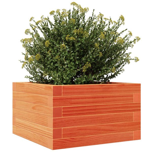 vidaXL plantekasse 40x40x23 cm massivt fyrretr&aelig; gyldenbrun