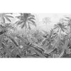 Komar fototapet Amazonia 400x250 cm sort og hvid