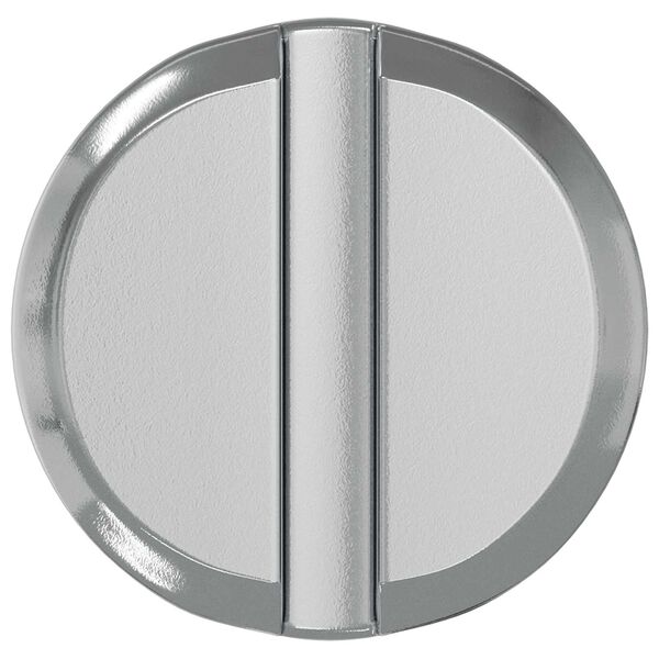 vidaXL Skruen 2 pcs Zinkbelagt 60 x 12 mm Jern