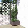 vidaXL plantekasse med espalier 40x40x121,5 cm PP brun