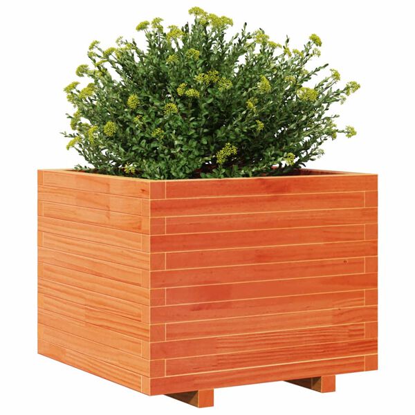 vidaXL plantekasse 60x60x49,5 cm massivt fyrretr&aelig; gyldenbrun