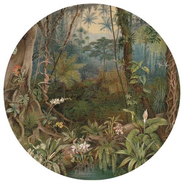 WallArt tapetcirkel In the Jungle 142,5 cm
