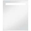 vidaXL LED-v&aelig;gspejl til badev&aelig;relset 50x60 cm
