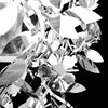 Produktminiaturebillede 4 af 9