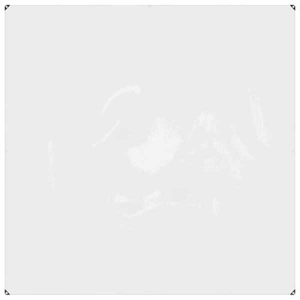 vidaXL Presenning med &oslash;jer Transparent 2 x 2 m Polyethylen