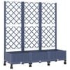 Blue_grey