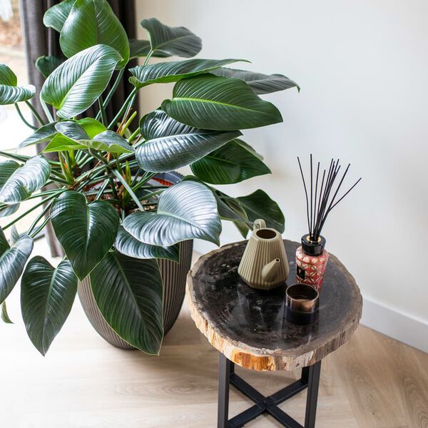 Capi elegant krukke Groove 34x46 cm antracitgr&aring;