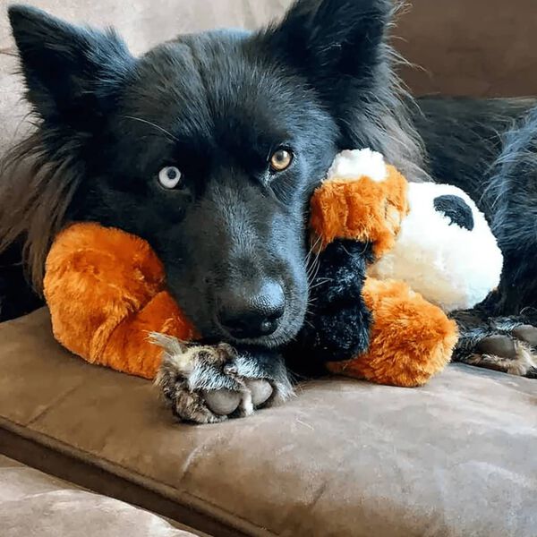 Snuggle Puppy hundeleget&oslash;j t&oslash;jdyr med hjerteslag brun og hvid