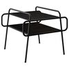 Black_oak