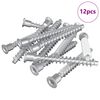 vidaXL Bekr&aelig;ftelsesskruer 12 pcs S&oslash;lv &Oslash;7 x 58 mm Metal