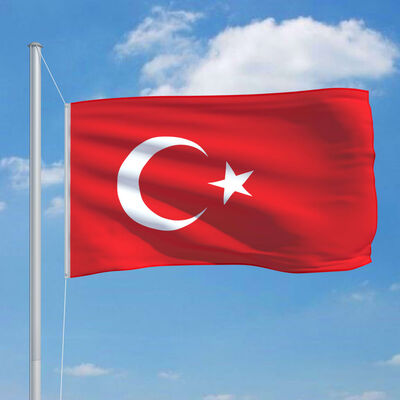 vidaXL Tyrkiets flag og flagstang 6,2 m aluminium