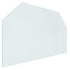 vidaXL Pejs glasplade Transparent 100 x 60 cm Glas