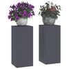 vidaXL Planteholder 2 pcs Antracit 24 x 24 x 55 cm Stål
