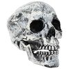 vidaXL Halloween-kranium SPOOKA 2 stk. Hvid 12 x 15 x 17.5 cm Plastik