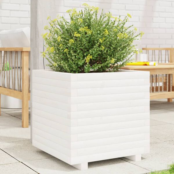 vidaXL plantekasse 50x50x49,5 cm massivt fyrretræ hvid
