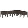 vidaXL plantekasse med ben 160x120x42 cm PP brun