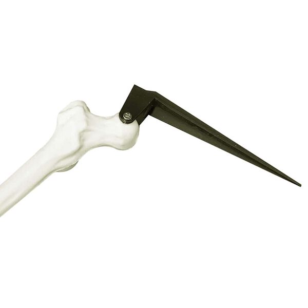 vidaXL Halloween Skelet Hvid 45,5 x 13 cm Plastik