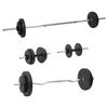 vidaXL v&aelig;gtstang og h&aring;ndv&aelig;gt med skiver 60 kg