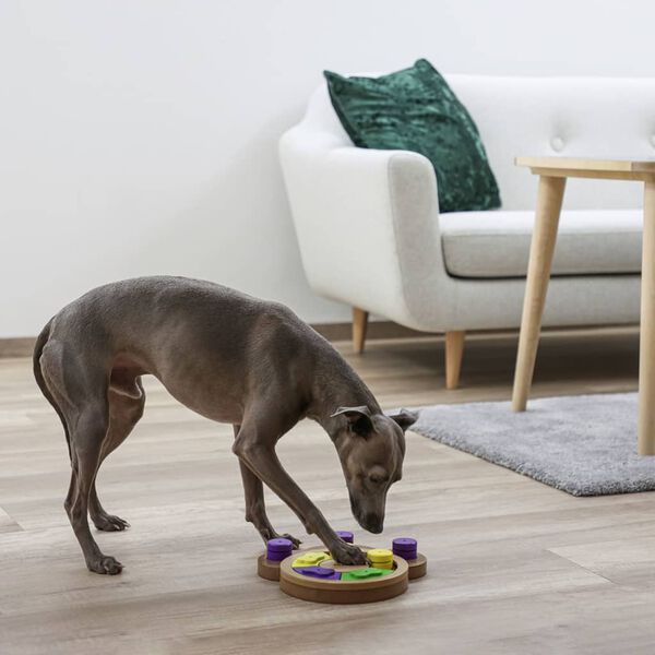 Kerbl t&aelig;nke- og l&aelig;releget&oslash;j til k&aelig;ledyr Paw 22x23x4 cm