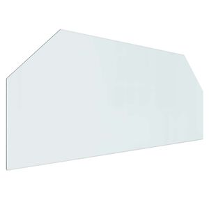 vidaXL Pejs glasplade Transparent 120 x 50 cm Glas
