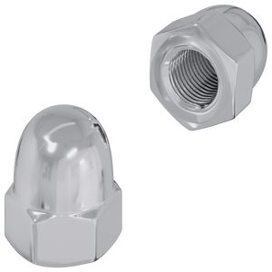 vidaXL Skruen 2 pcs S&oslash;lv M6 x 10 mm Jern