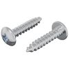 vidaXL Tr&aelig;skruer 2 pcs S&oslash;lv M4 x 20 mm St&aring;l