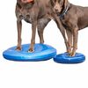 FitPAWS balancebr&aelig;t til k&aelig;ledyr 36 cm bl&aring;