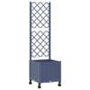 Blue_grey