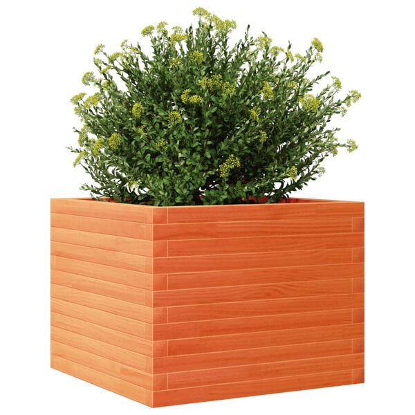vidaXL plantekasse 60x60x45,5 cm massivt fyrretr&aelig; gyldenbrun