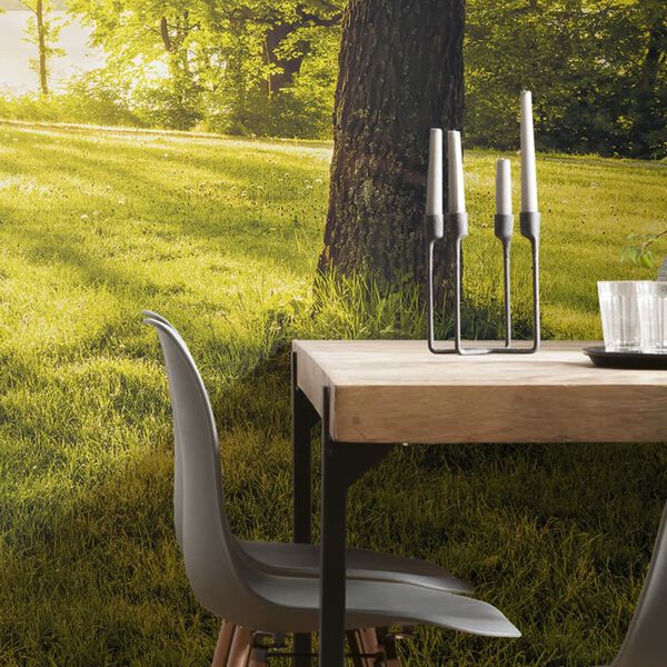 Komar fototapet Golden Moment 400x250 cm