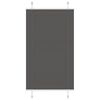 vidaXL Pliss&eacute;gardin Sort 70x150 cm Stofbredde 69,4 cm Polyester