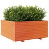 vidaXL plantekasse 100x100x49,5 cm massivt fyrretr&aelig; gyldenbrun