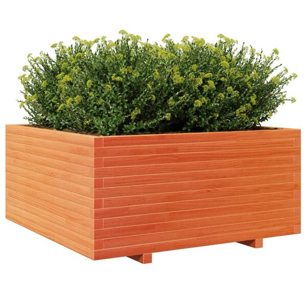 vidaXL plantekasse 100x100x49,5 cm massivt fyrretr&aelig; gyldenbrun