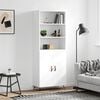 High_gloss_white