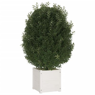 vidaXL plantekasse 40x40x40 cm massivt fyrretræ hvid