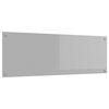 vidaXL K&oslash;kkenbacksplash Lysegr&aring; 120 x 40 cm h&aelig;rdet glas