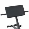 vidaXL Hyperextension b&aelig;nk Sort 100.5 x 70 x 78 cm Pulverlakeret st&aring;l