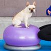 FitPaws balancebold til k&aelig;ledyr TRAX Donut 55 cm lilla