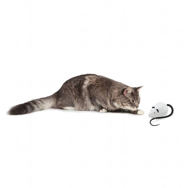 FroliCat automatisk kattelegetøj RoloRat